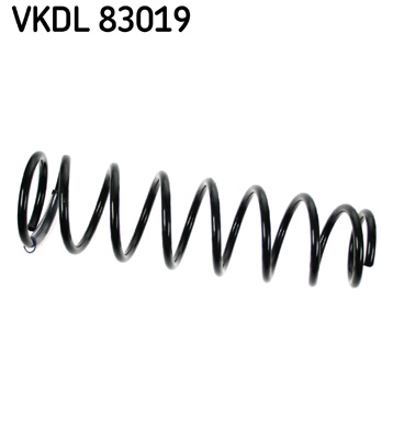 Arc spiral VKDL 83019 SKF